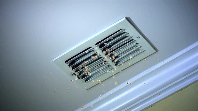 Best Affordable HVAC Duct Cleaning  in Guernsey, WY